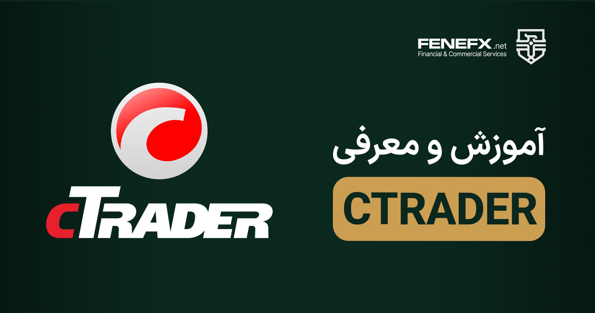 معرفی سی تریدر و قابلیتهای آن در معاملات فارکس