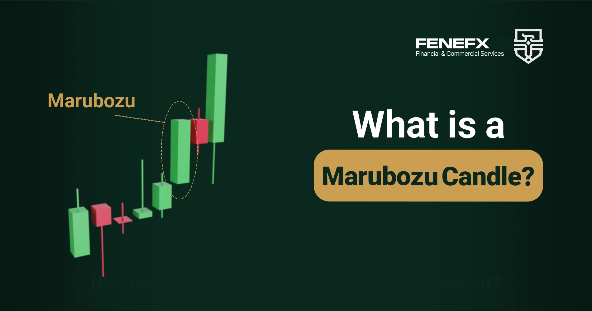 What Is a Marubozu Candle?