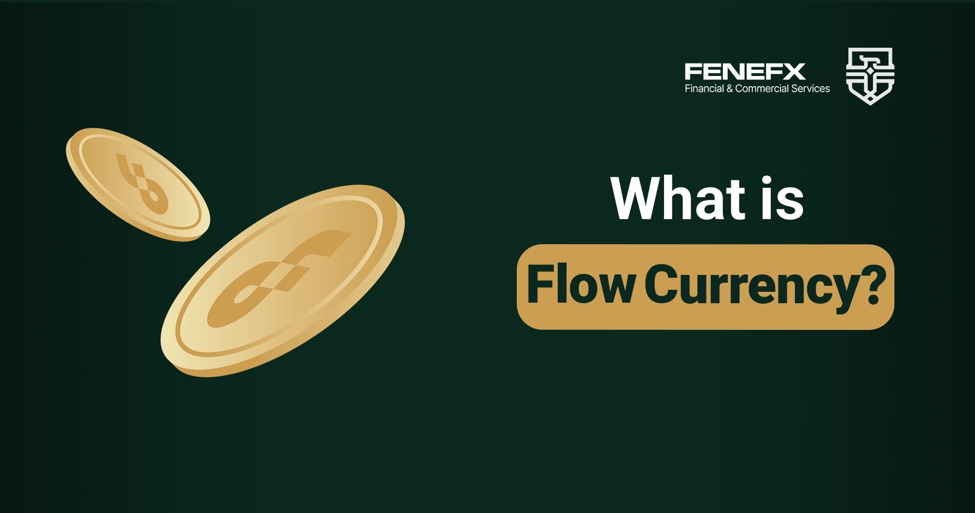 What is Flow Currency?