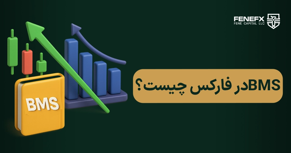 BMS در فارکس چیست ؟