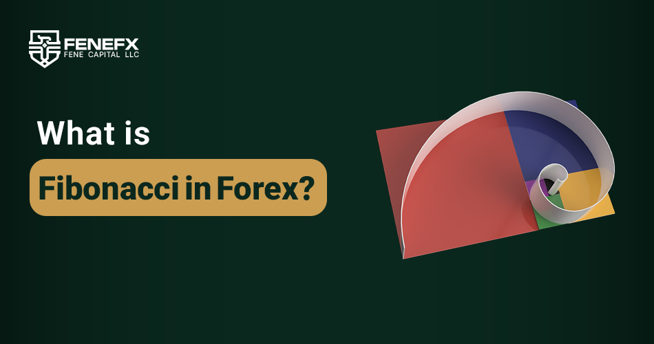 What is Fibonacci in Forex?