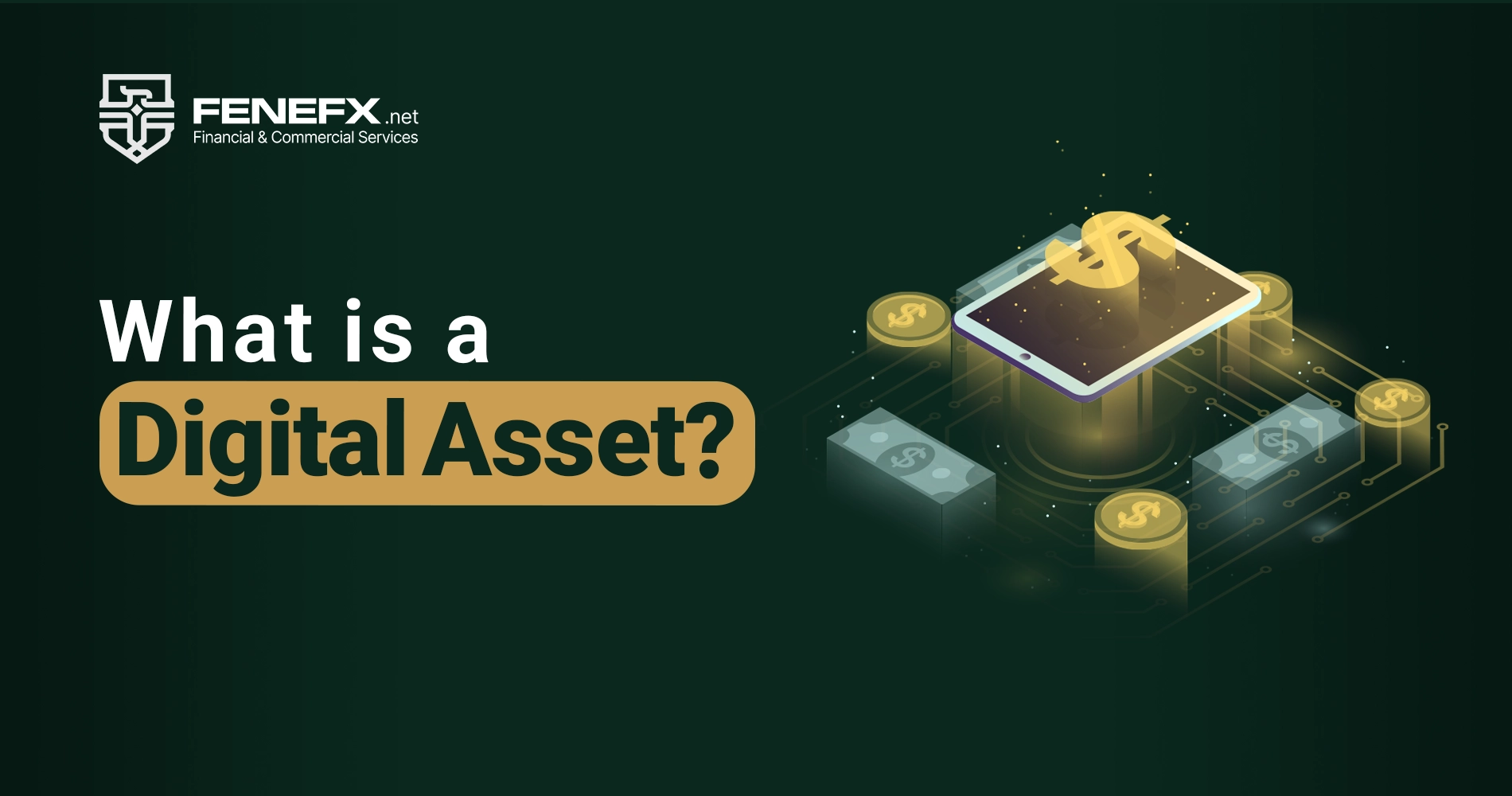 What is a Digital Assets?