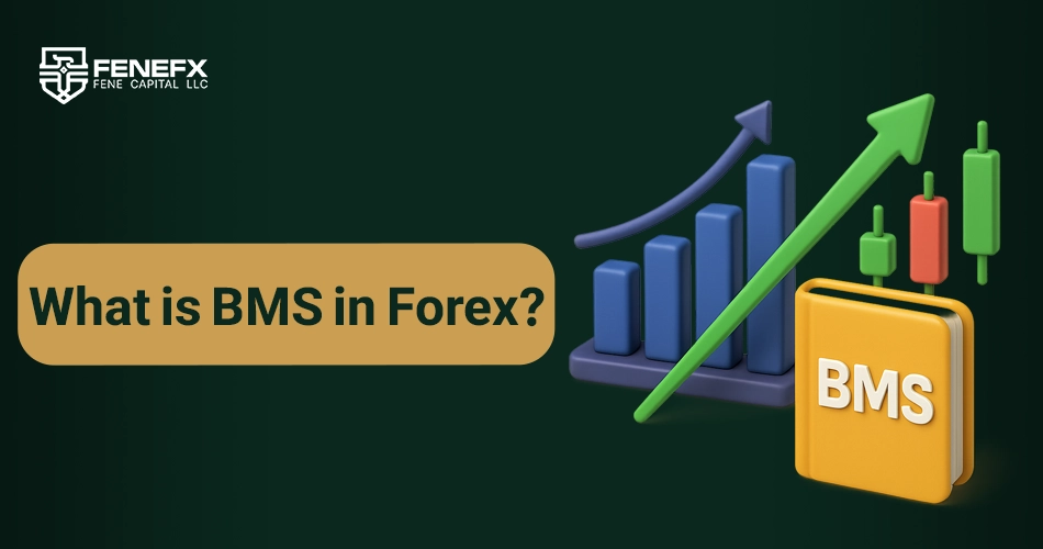 What is BMS in Forex?