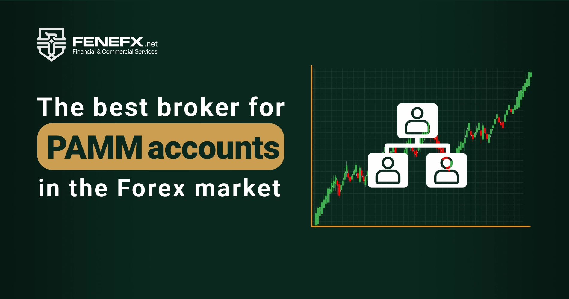 The Best Broker for PAMM Account in the Forex Market (Expert Review)