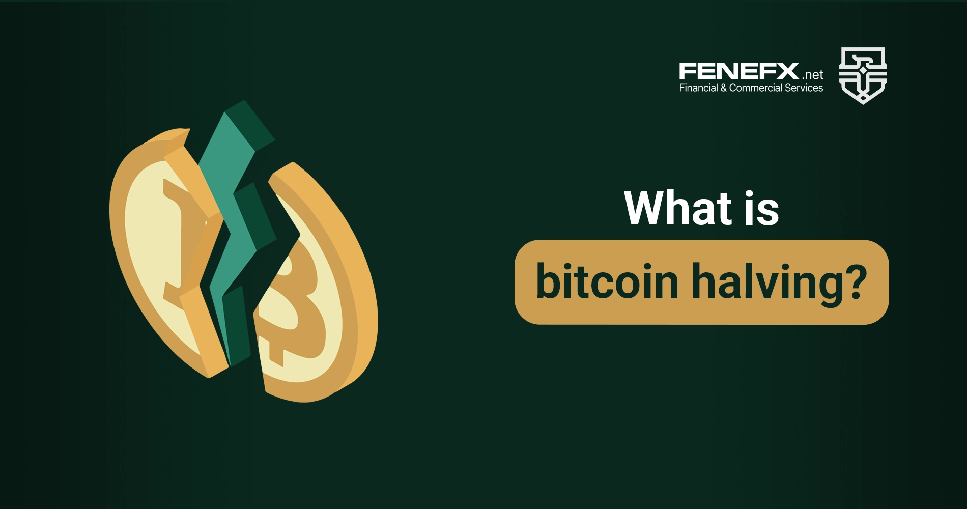 What is bitcoin halving?