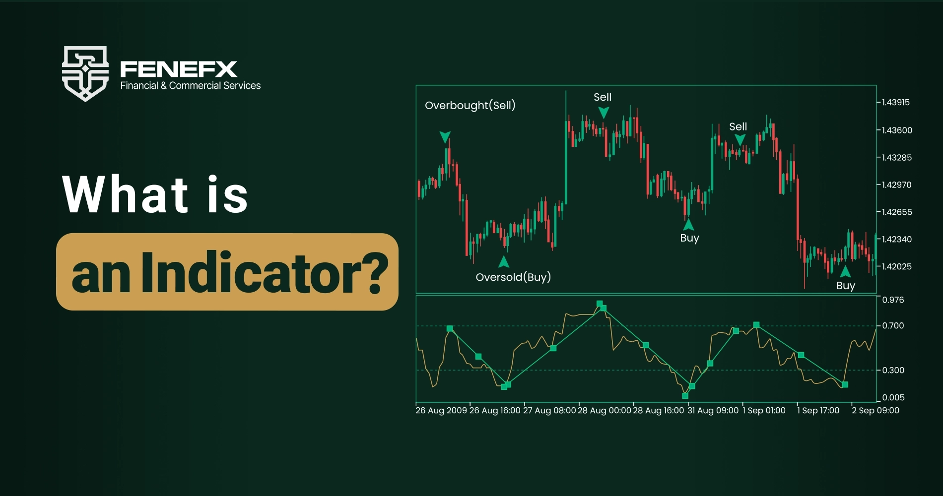 What is an Indicator?