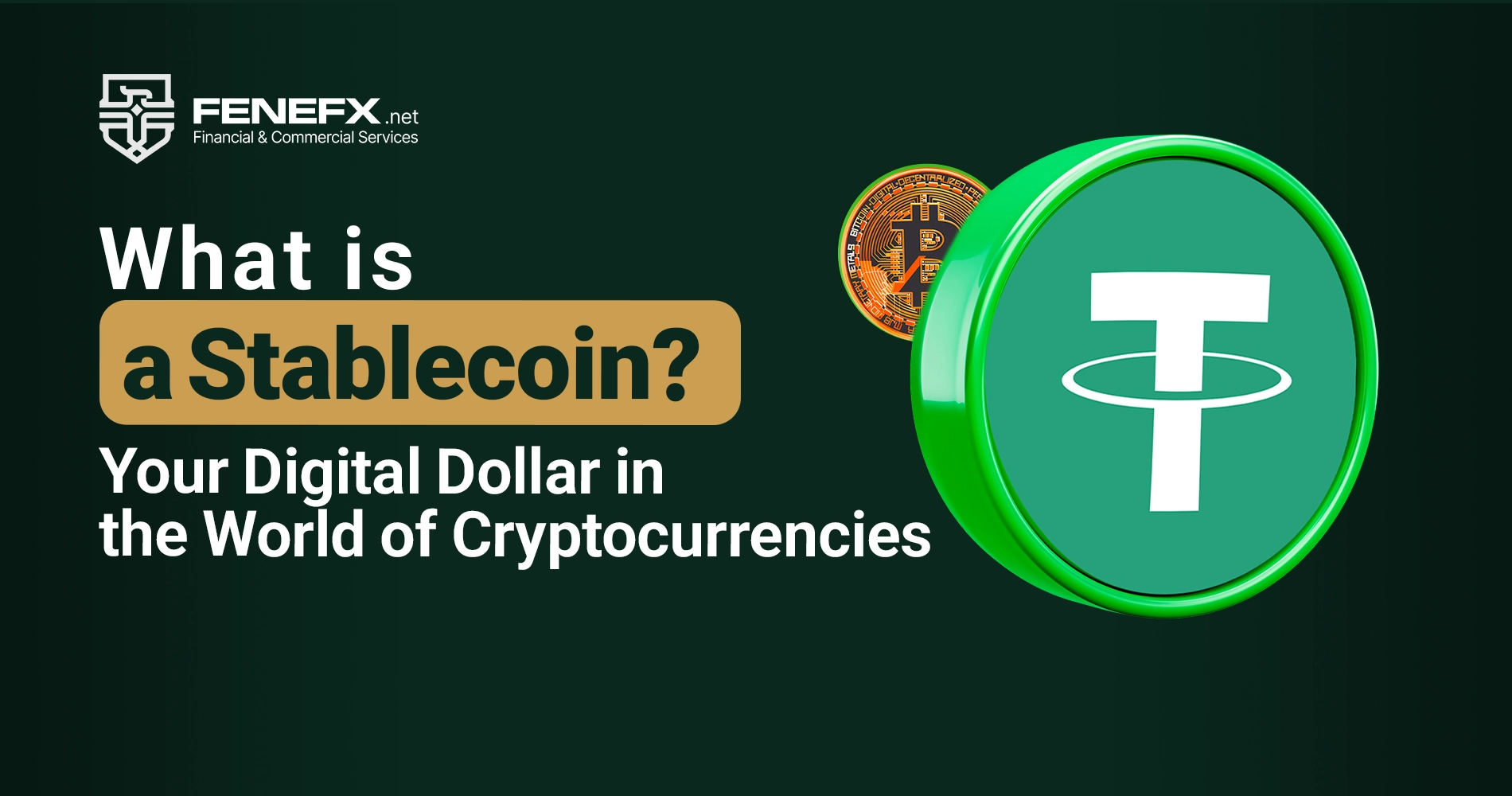 What is a Stablecoin? Your Digital Dollar in the World of Cryptocurrencies