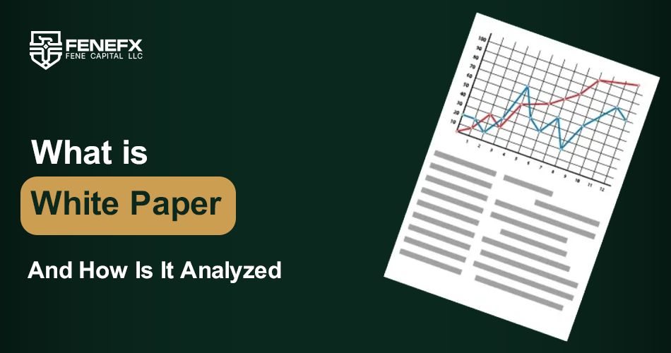 What is a White Paper and how is it analyzed?