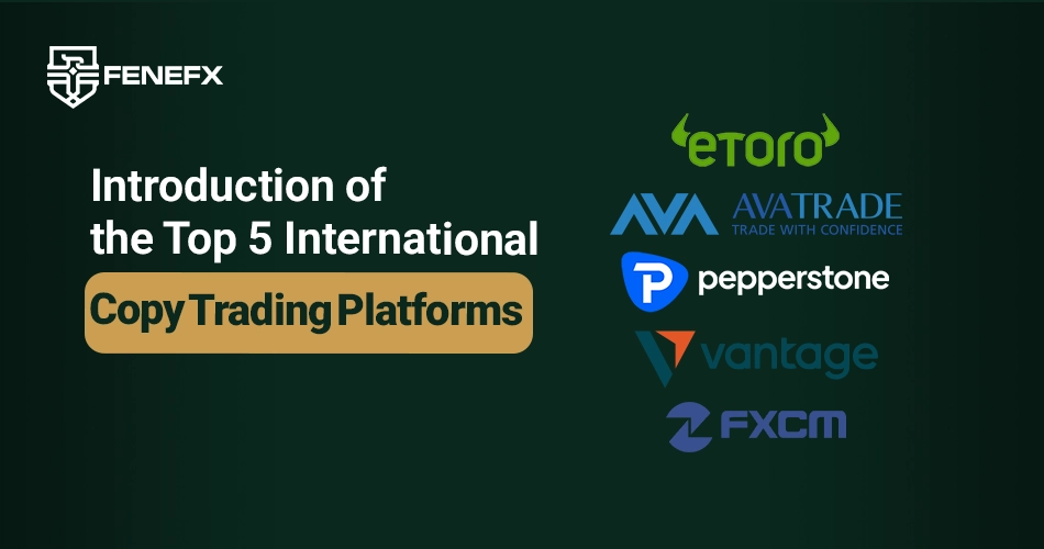 Introduction of the Top 5 International Copy Trading Platforms