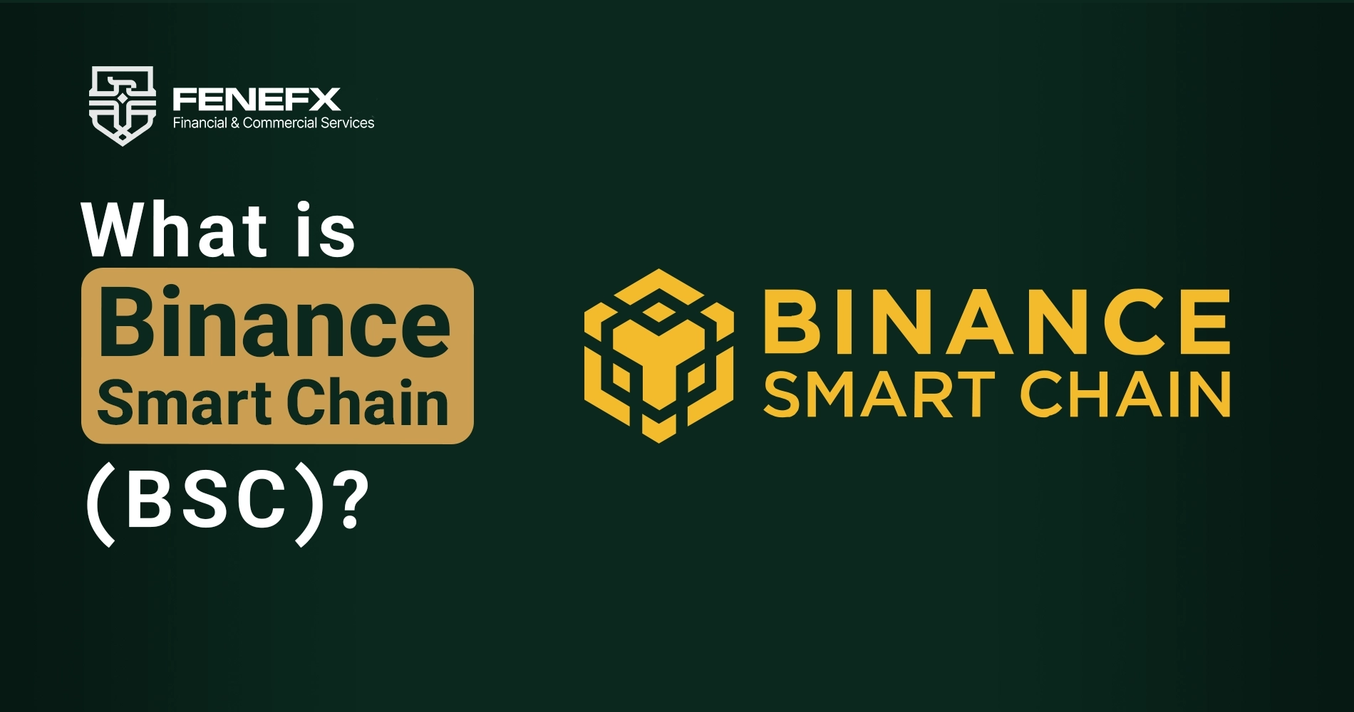 What is Binance Smart Chain (BSC)?