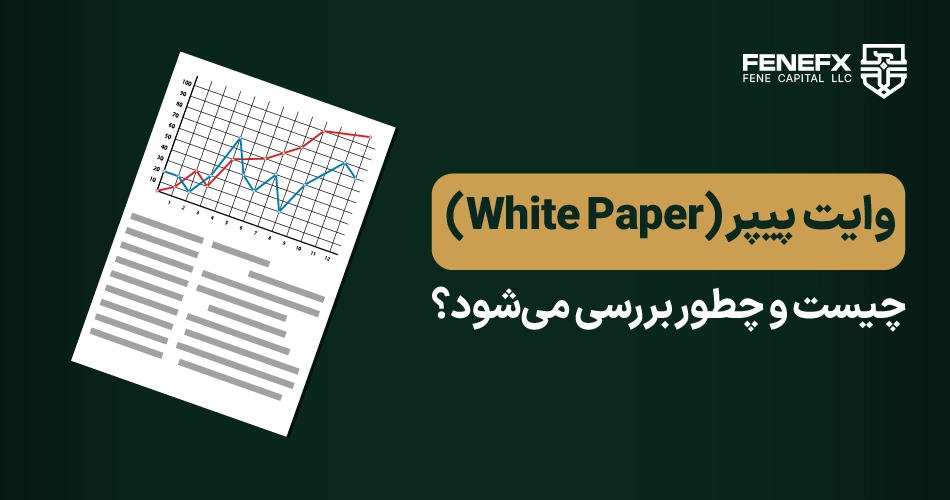 وایت پیپر چیست و چطور بررسی میشود؟