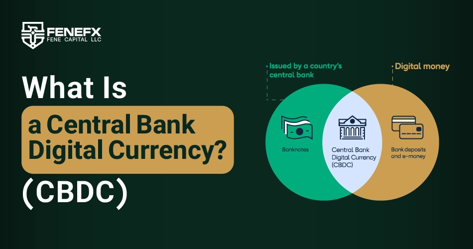 What Is a Central Bank Digital Currency (CBDC)?
