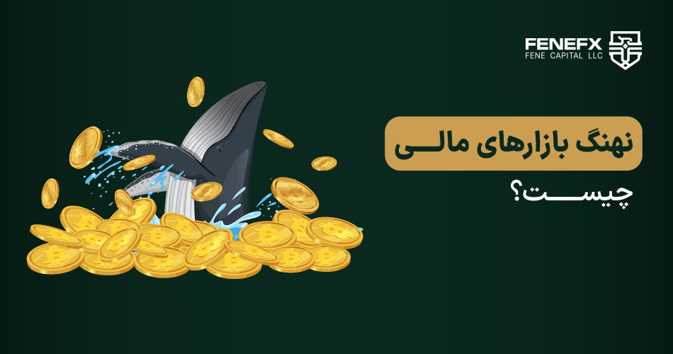 نهنگ بازارهای مالی چیست؟