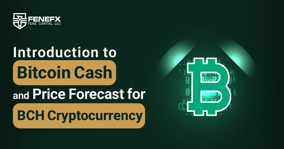 Introducing to Bitcoin Cash ( BCH ) and Predicting the Future Price of the Cryptocurrency