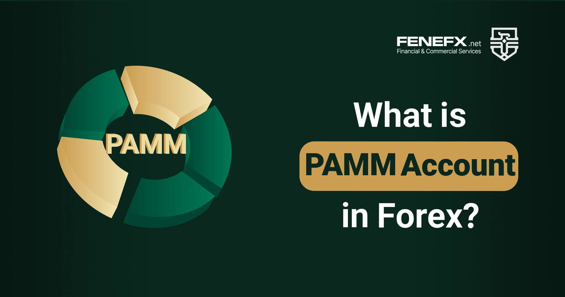 What is a PAMM account in Forex?