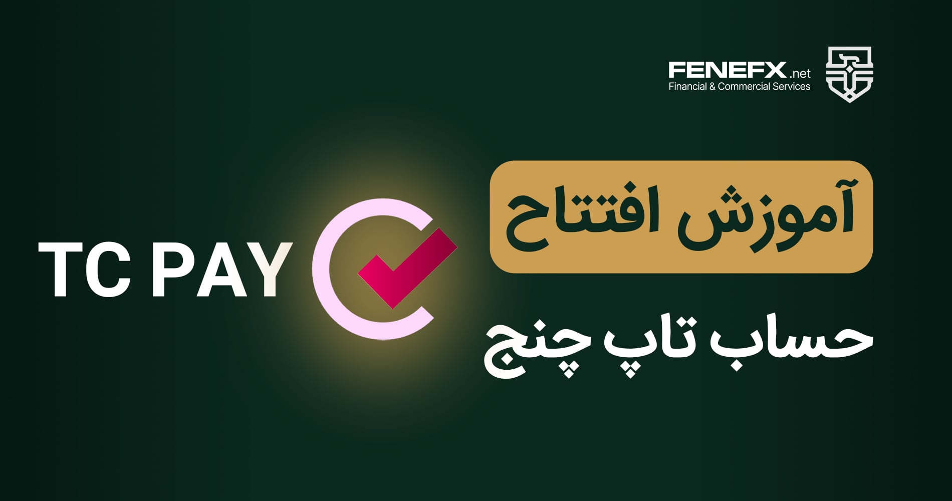 معرفی و آموزش افتتاح حساب TCPAY