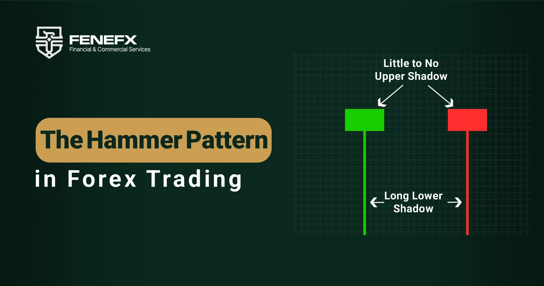 The Hammer Pattern in Forex Trading