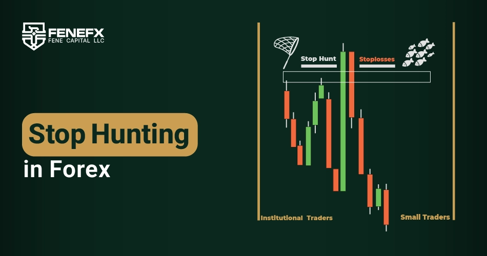 Stop Hunting in Forex